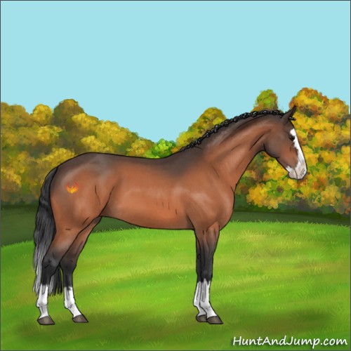 Horse Color:Bay Roan Sabino Splash 
