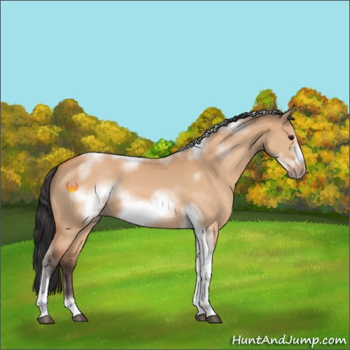 Horse Color:Bay Dun Sabino Tobiano Frame 