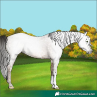 Horse Color:Gray Amber Champagne Ice 
