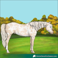 Horse Color:Palomino Ice Pearl 