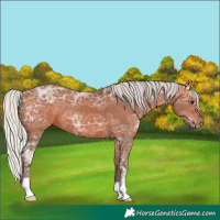 Horse Color:Silver Bay Ice