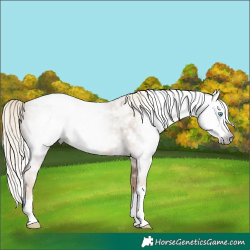 Horse Color:Gray Chocolate Palomino Ice Pearl