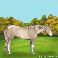 Horse Color:White Spotted Chocolate Palomino Pearl Tobiano 