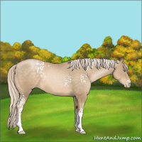 Horse Color:White Spotted Chocolate Palomino Pearl 