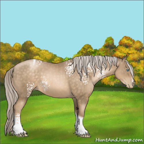 Horse Color:White Spotted Chocolate Palomino Pearl Tobiano
