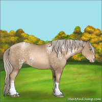 Horse Color:White Spotted Chocolate Palomino Pearl Tobiano 