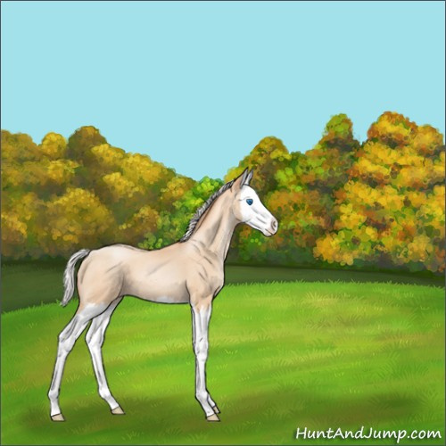 Horse Color:Silver Amber Champagne Pearl Splash 
