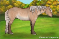 Horse Color:Silver Brown Dun Rabicano 