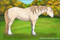 Horse Color:Smoky Black Pearl Sabino 