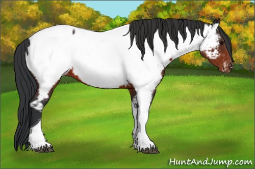 Horse Color:Brown Tobiano Near Fewspot