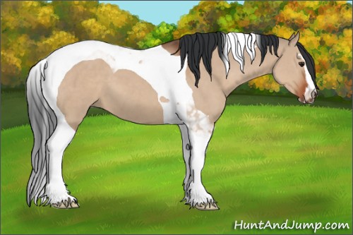Horse Color:Brown Dun Sabino Tobiano 