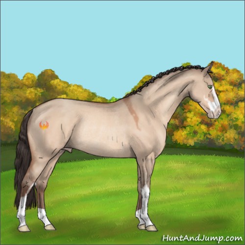 Horse Color:Sable Champagne Dun Sabino Rabicano 