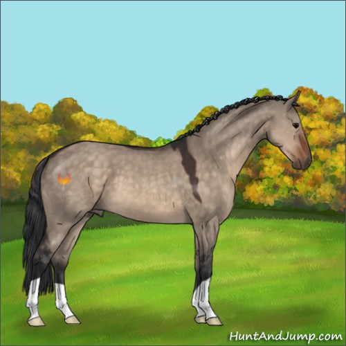 Horse Color:Brown Dun 
