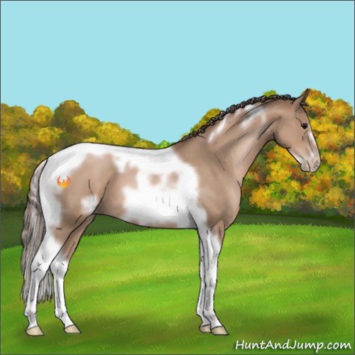 Horse Color:Black Pearl Tobiano Frame 