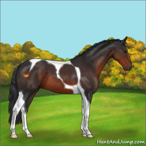Horse Color:Brown Tobiano 
