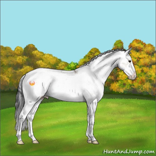Horse Color:Brown Dun Sabino 