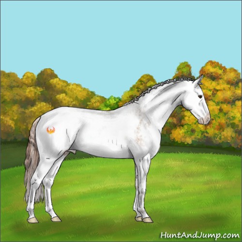 Horse Color:Red Dun Sabino 