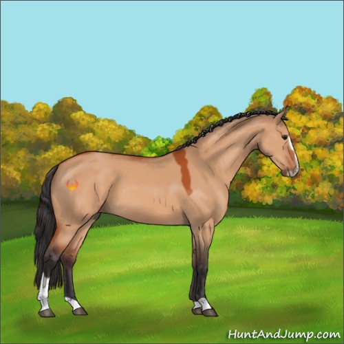Horse Color:Bay Dun Sabino 