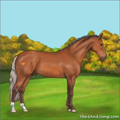 Horse Color:Silver Bay 