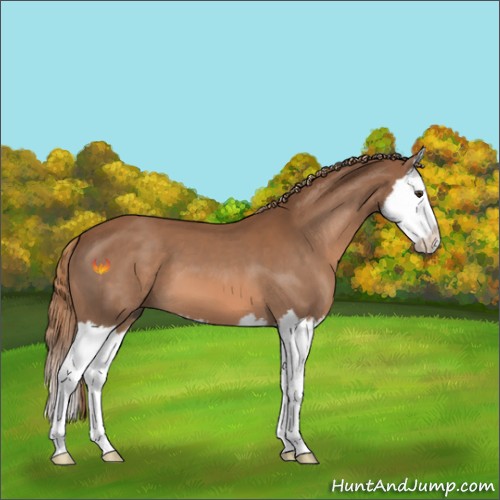 Horse Color:Chestnut Sabino Splash 