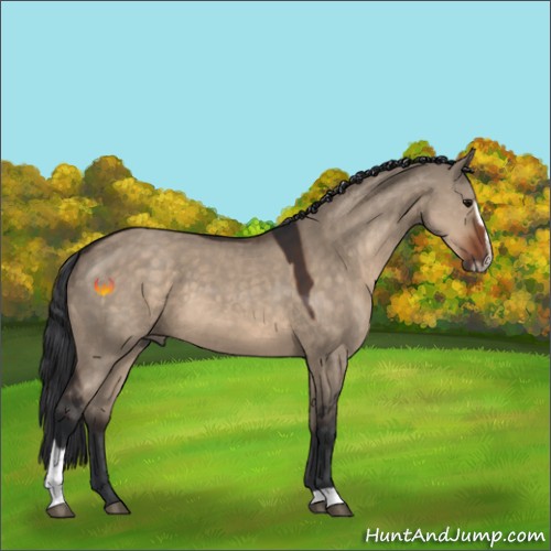 Horse Color:Brown Dun Sabino 
