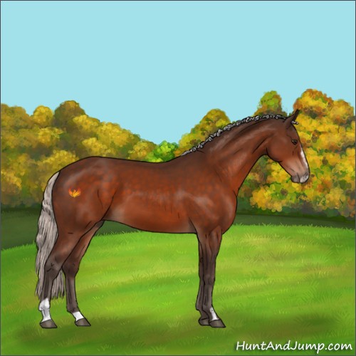 Horse Color:Silver Bay Sabino 