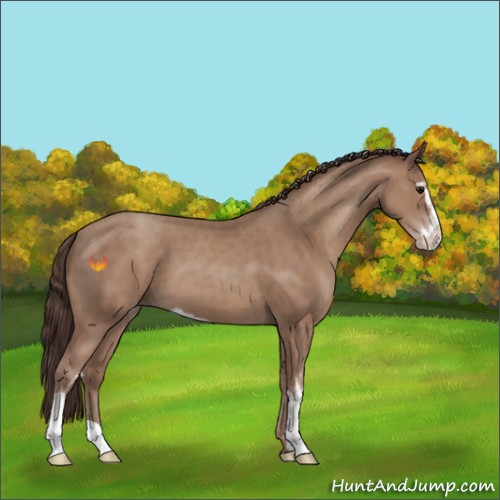 Horse Color:Classic Champagne Sabino 