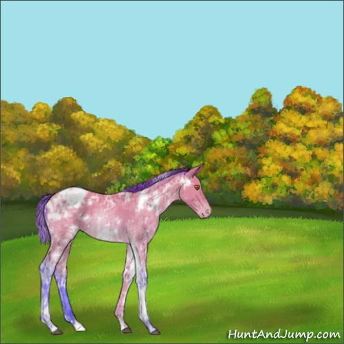 Horse Color:Watercolor White Spotted Buckskin Ice Dun Tobiano Varnish 