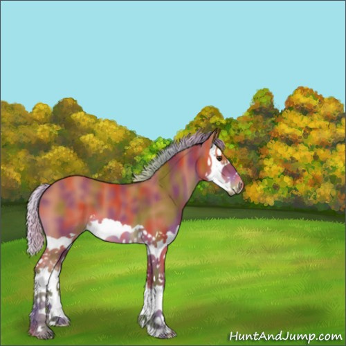 Horse Color:Nacre Silver Bay Splash