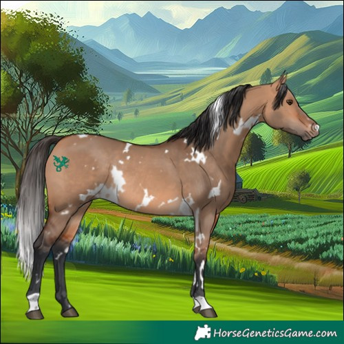 Horse Color:White Spotted Bay Dun Rabicano