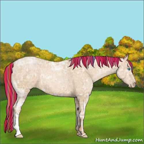 Horse Color:Painted Buckskin Ice Pearl 