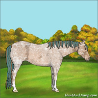 Horse Color:Painted Chestnut Ice
