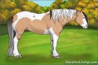 Horse Color:Bay Dun Splash Tobiano