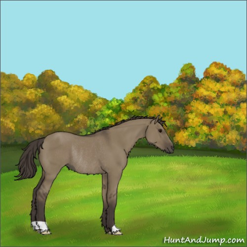 Horse Color:Smoky Grullo Rabicano 