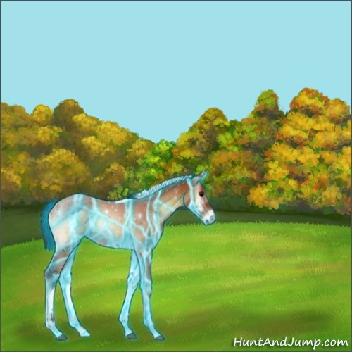 Horse Color:Thunderstruck Buckskin Onyx Tobiano 