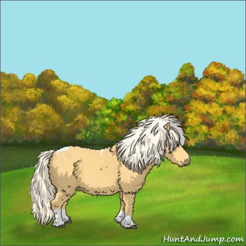 Horse Color:Palomino Tobiano 