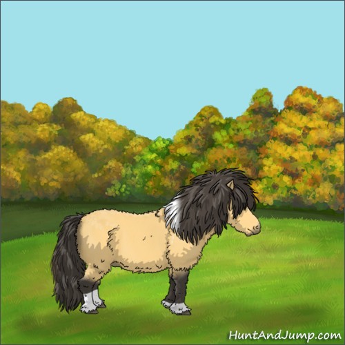 Horse Color:Buckskin Tobiano 