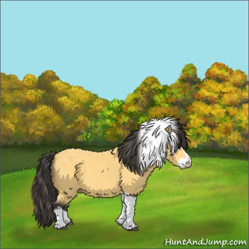 Horse Color:Buckskin Splash Tobiano 