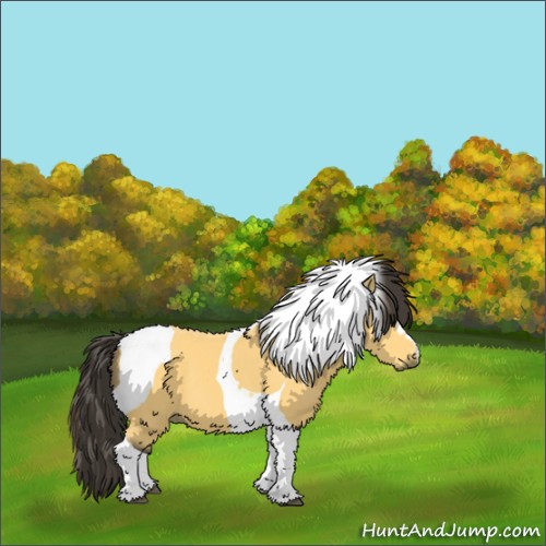 Horse Color:Buckskin Tobiano 