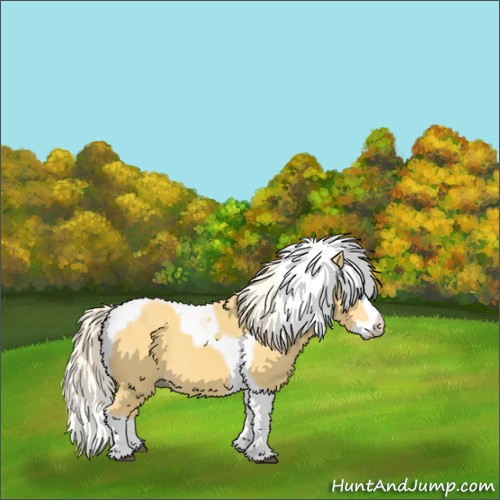 Horse Color:Palomino Splash Tobiano 