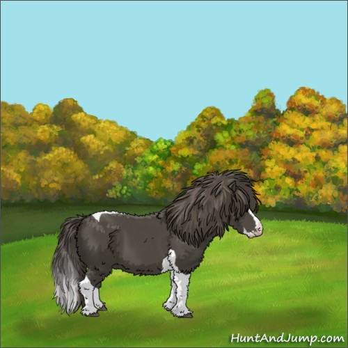 Horse Color:Smoky Black Splash Tobiano 