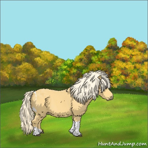 Horse Color:Palomino Tobiano 