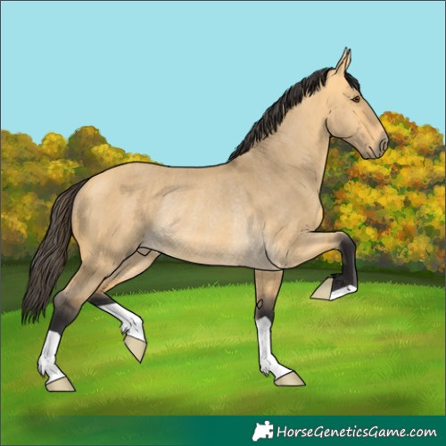 Horse Color:Buckskin Dun Rabicano Brindle 