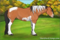 Horse Color:Bay Tobiano Frame 
