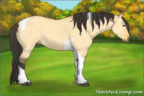 Horse Color:Buckskin Dun Tobiano 