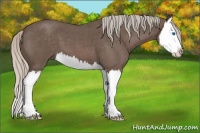 Horse Color:Silver Blue Roan Splash 