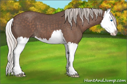 Horse Color:Silver Blue Roan Splash 