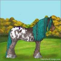 Horse Color:Painted Liver Chestnut Appaloosa 