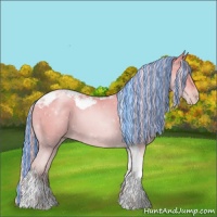 Horse Color:Painted Palomino Pearl Tobiano 