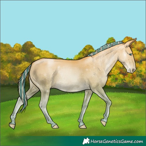 Horse Color:Painted Palomino Pearl 